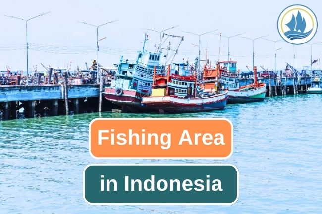 These Are 11 Fishing Area Of Indonesia